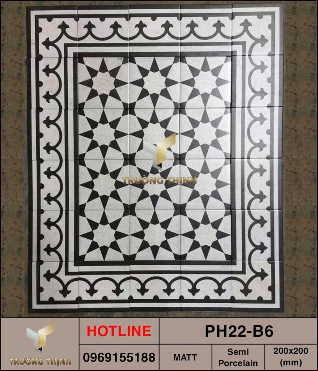 Ảnh thực tế gạch ốp lát 200x200 Viglacera Platinum PH22-B6