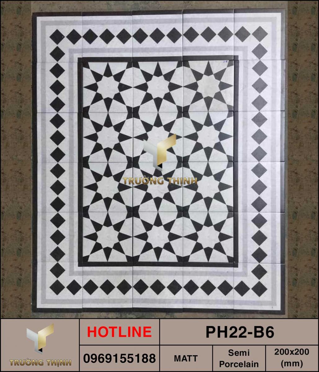 Gạch bán sứ 200x200 Viglacera Platinum PH22-B6 giá tốt