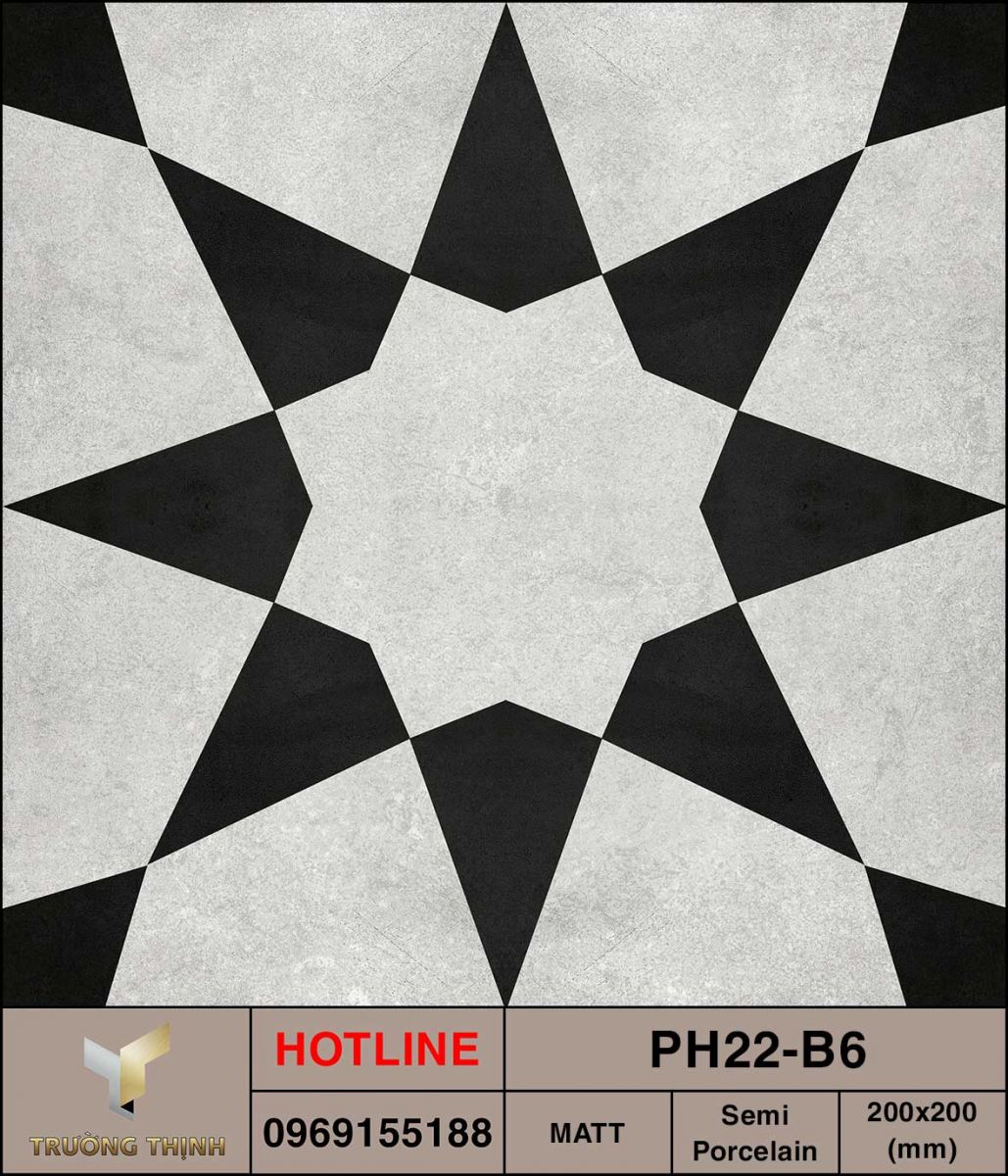 Ảnh MAP gạch ốp lát 200x200 Viglacera Platinum PH22-B6