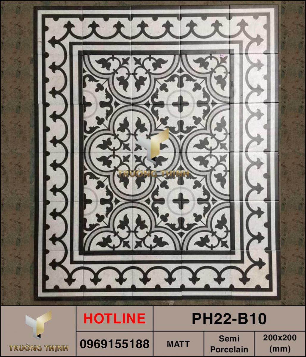 Gạch bông 200x200 Viglacera Platinum PH22-B10 giá rẻ