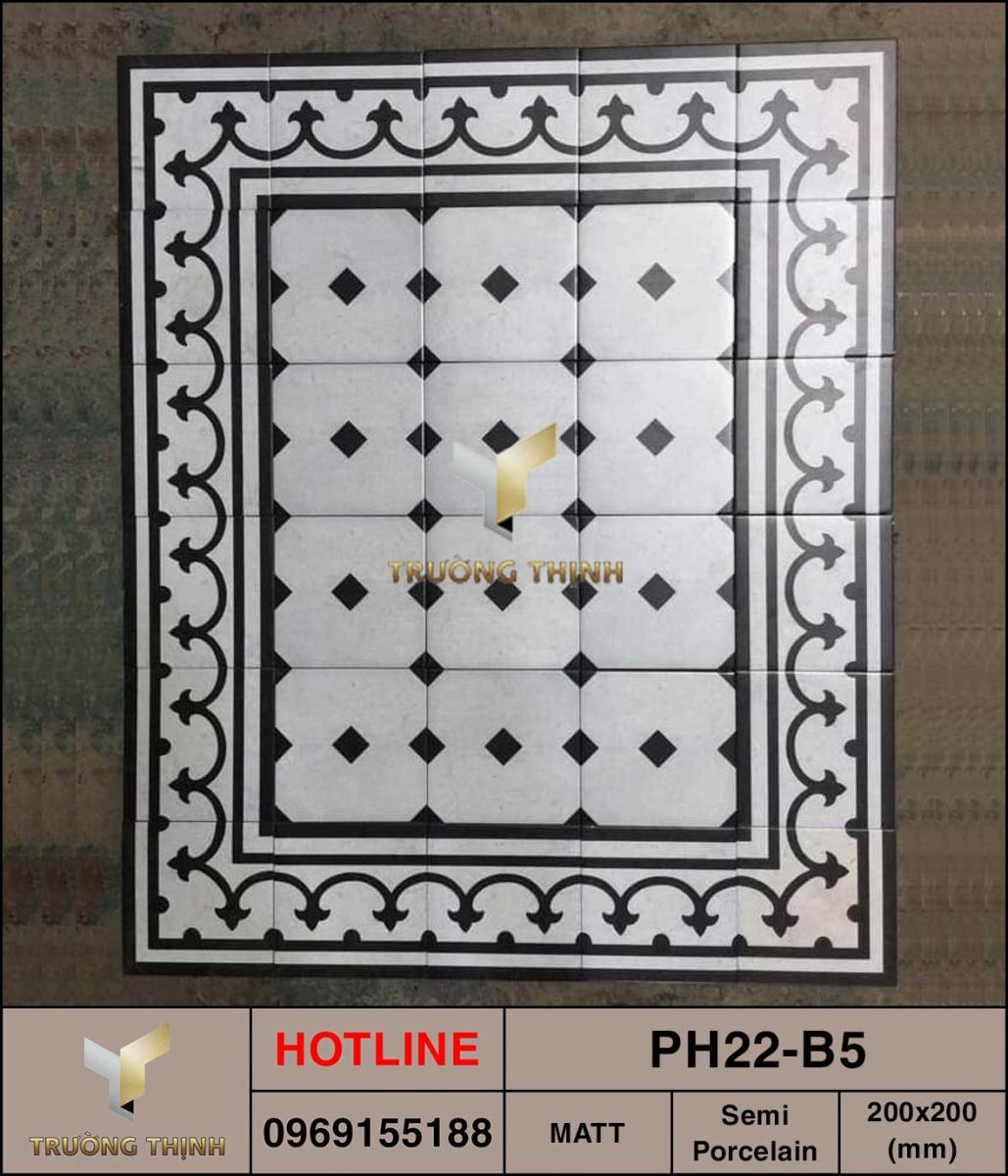 Ảnh thực tế gạch ốp lát 200x200 Viglacera Platinum PH22-B5