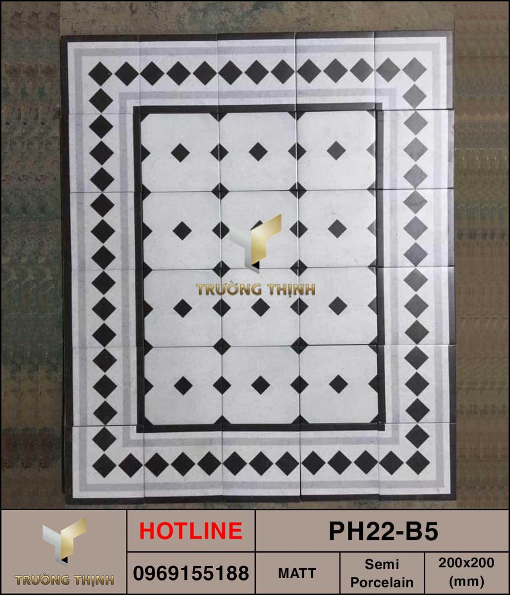 Ảnh thực tế gạch ốp lát 200x200 Viglacera Platinum PH22-B5