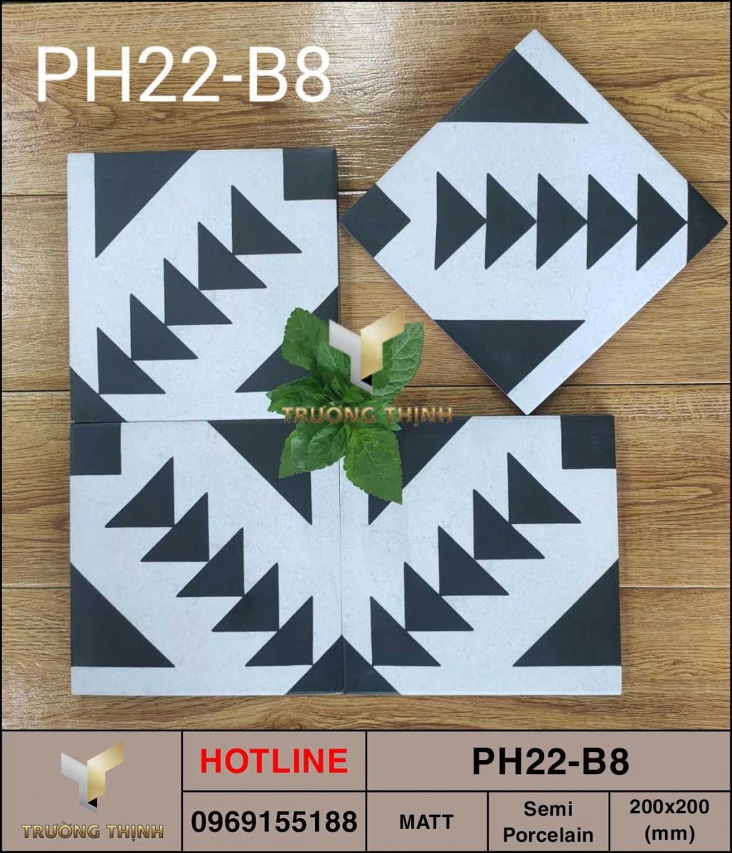Gạch bông 200x200 Viglacera Platinum PH22-B8 giá rẻ