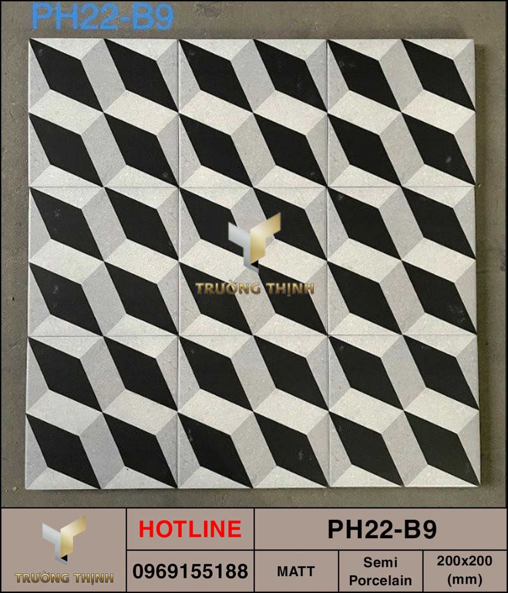 Gạch bông 200x200 Viglacera Platinum PH22-B9 giá tốt