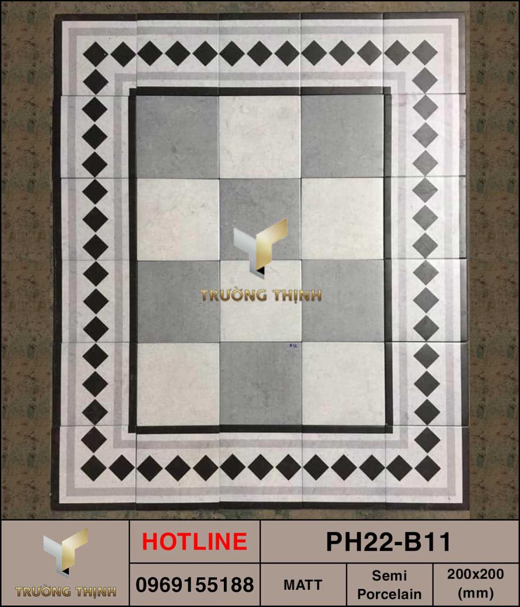Gạch bông 200x200 Viglacera Platinum PH22-B11 cao cấp