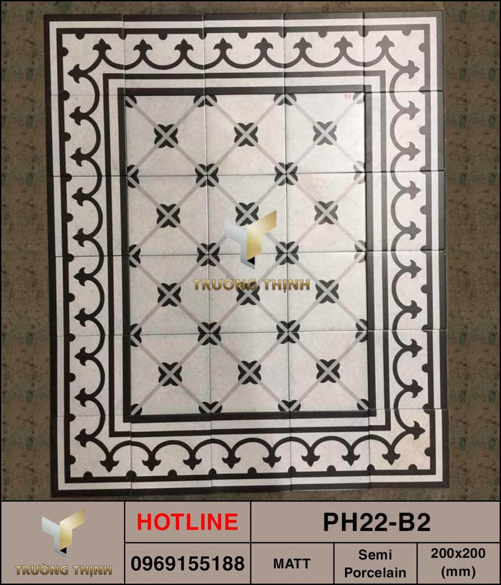 Gạch ốp lát 200x200 Viglacera Platinum PH22-B2 giá rẻ