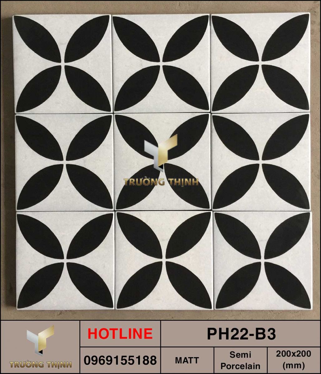 Gạch bông 200x200 Viglacera Platinum PH22-B3 cao cấp