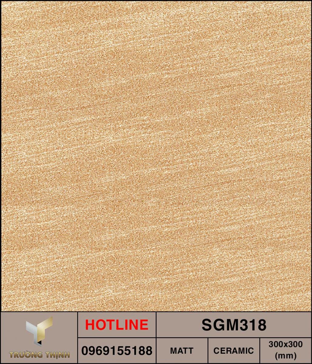Ảnh MAP gạch lát nền 300x300 Viglacera SGM318