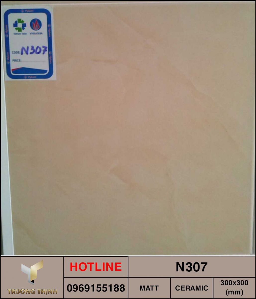 Gạch lát nền 300x300 Viglacera N307