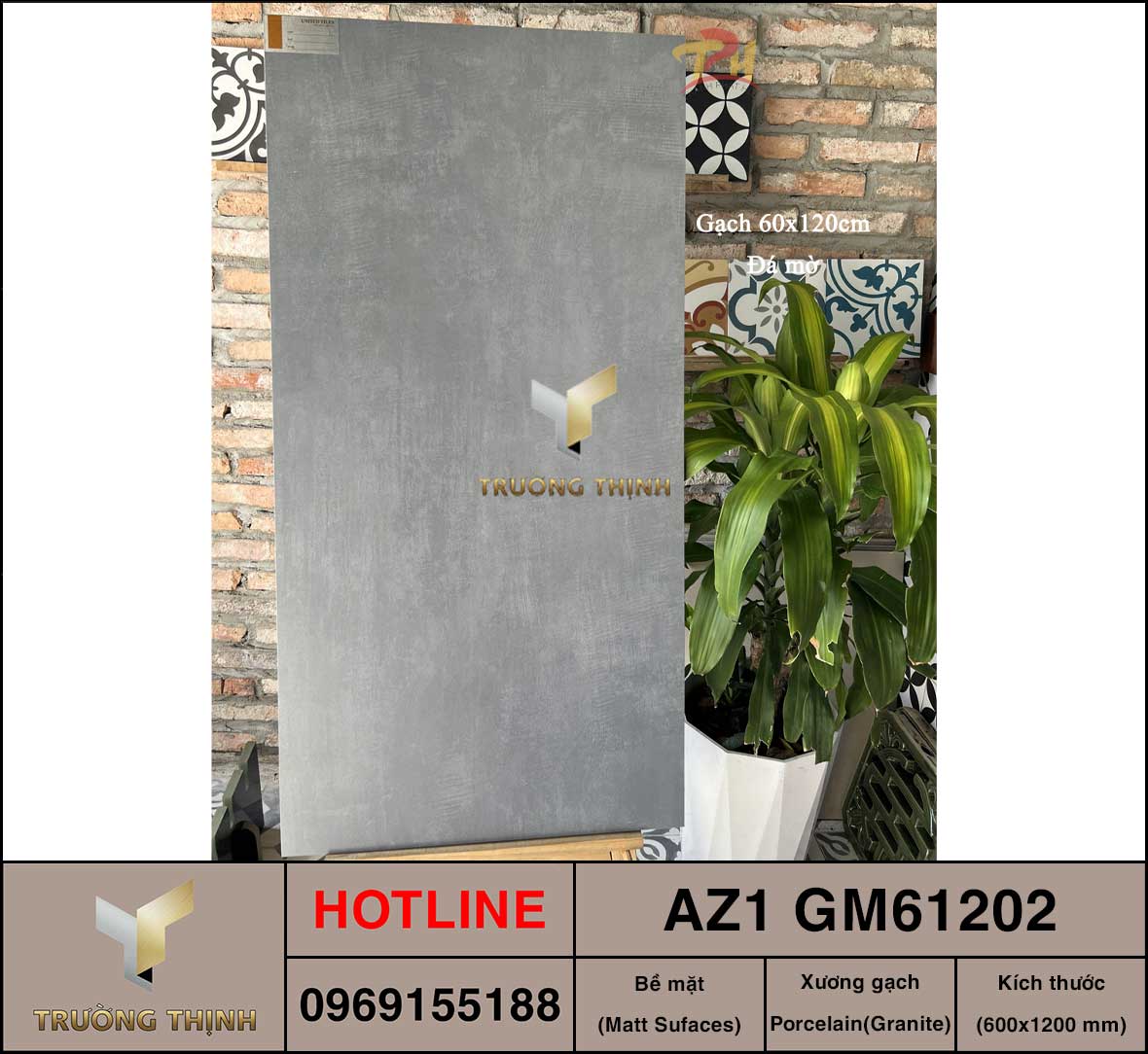 AZ1-GM61202