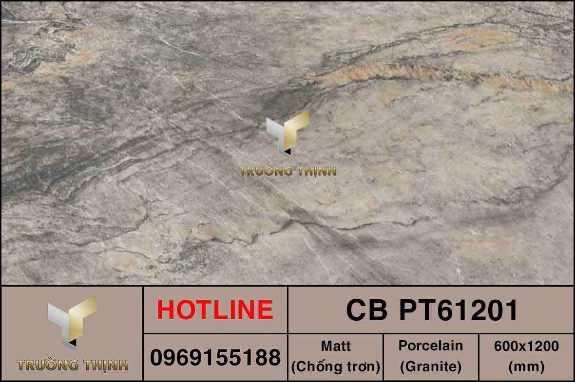 Gạch granite đồng chất 600x1200 Viglacera Platinum CB PT61201 cao cấp