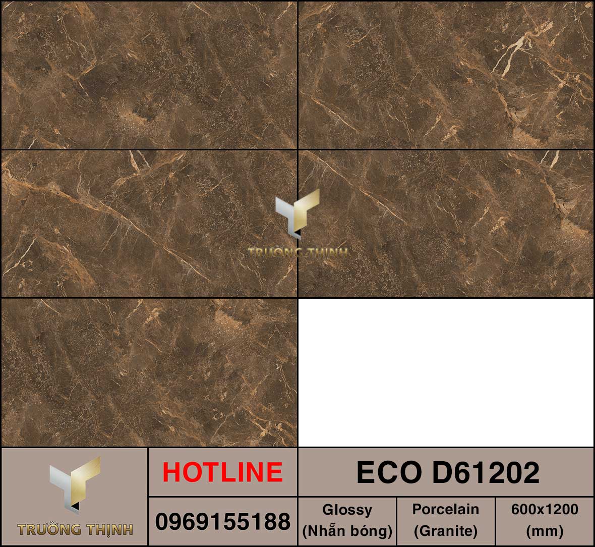 Gạch ốp lát 600x1200 Viglacera ECO D61202
