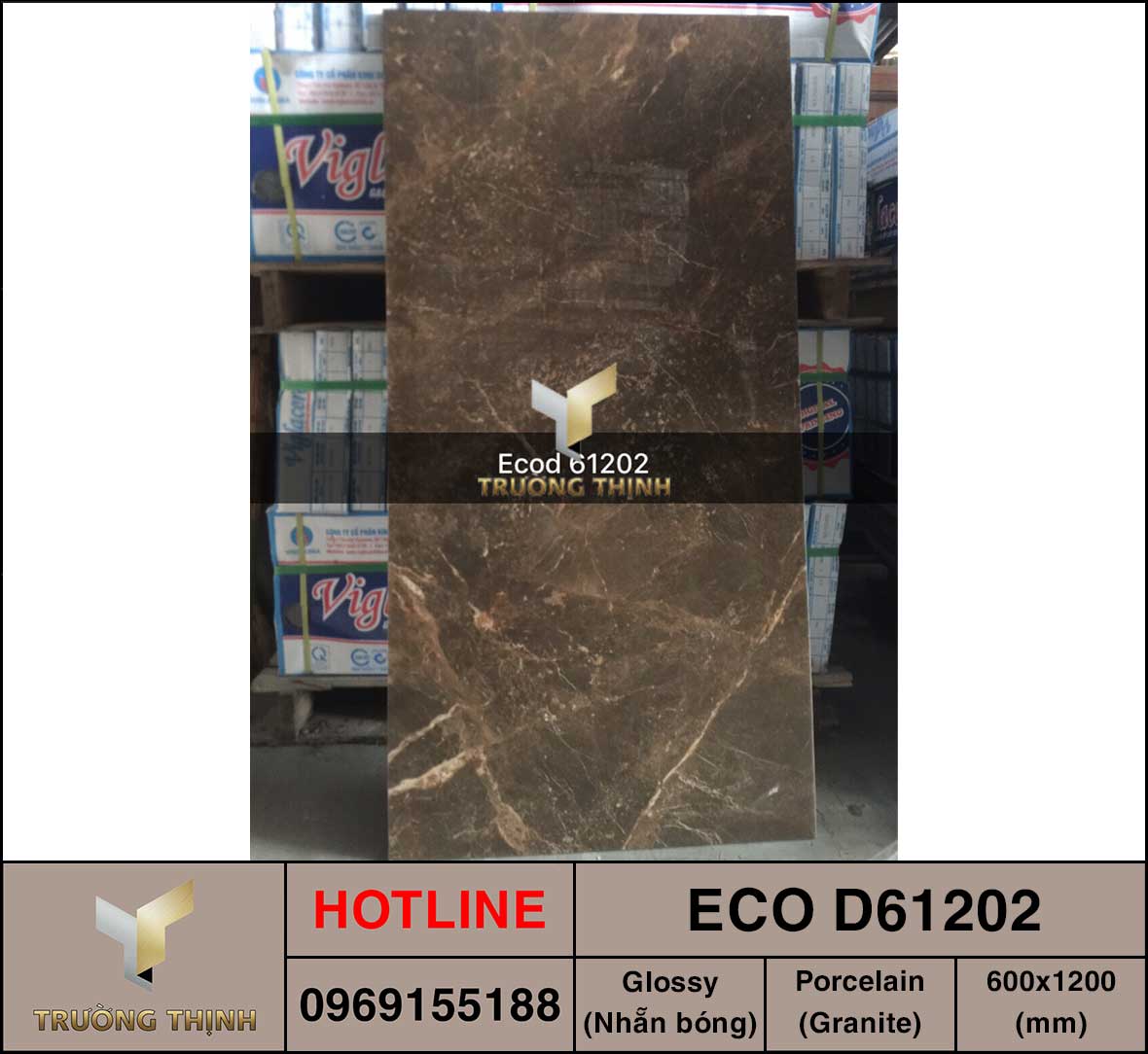 Gạch ốp lát 600x1200 Viglacera ECO D61202