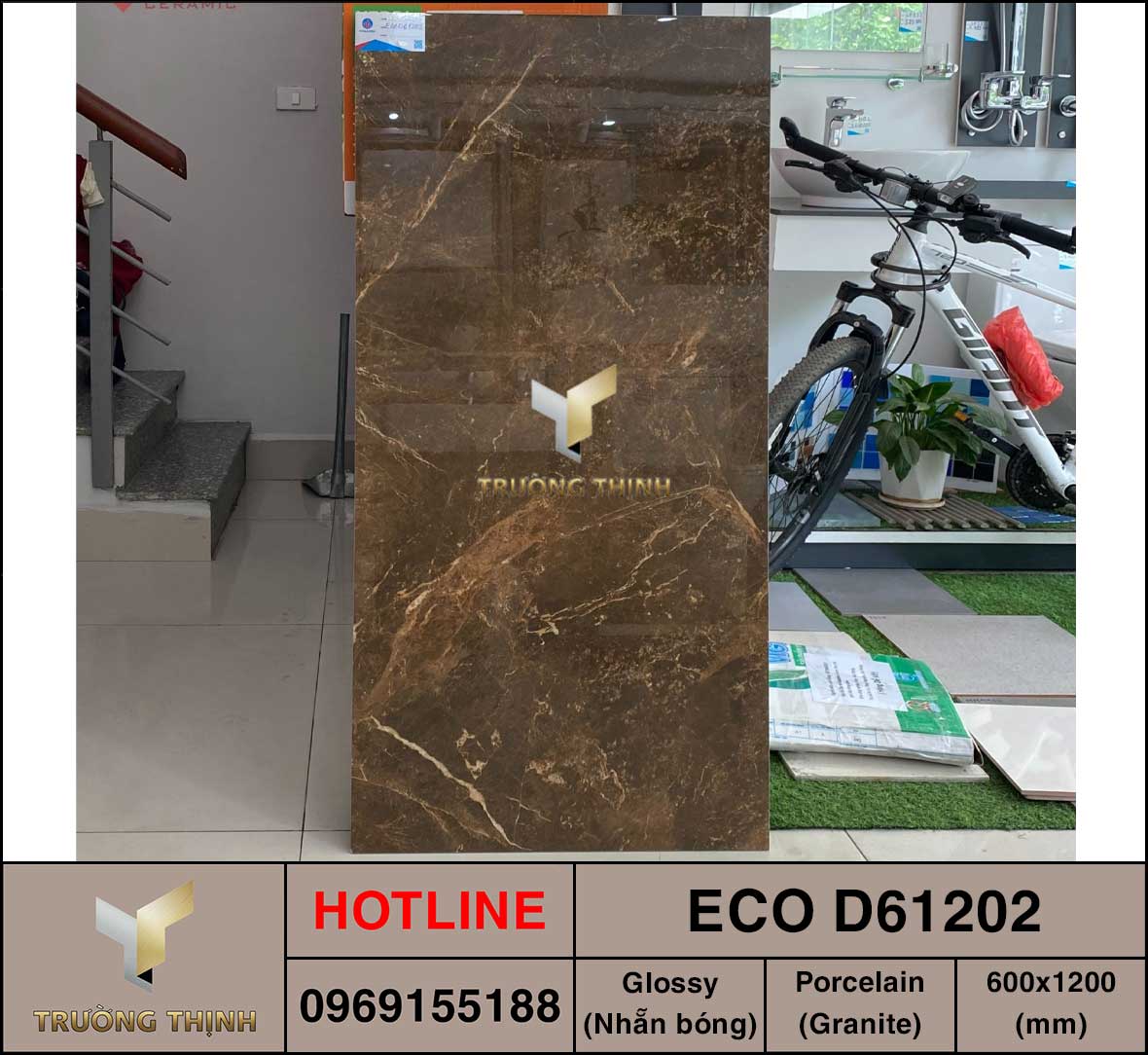 Gạch ốp lát 600x1200 Viglacera ECO D61202