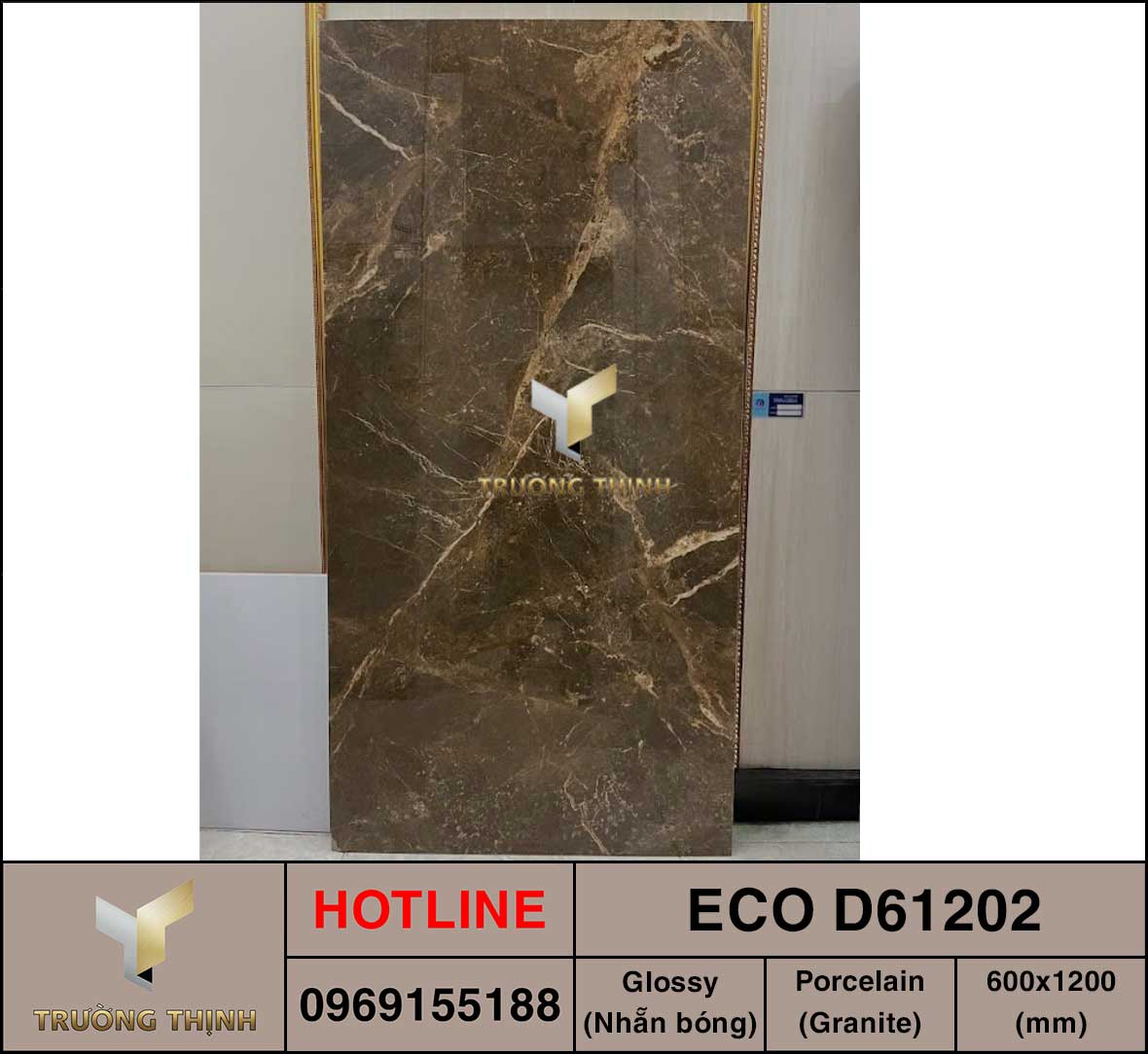 Gạch ốp lát 600x1200 Viglacera ECO D61202