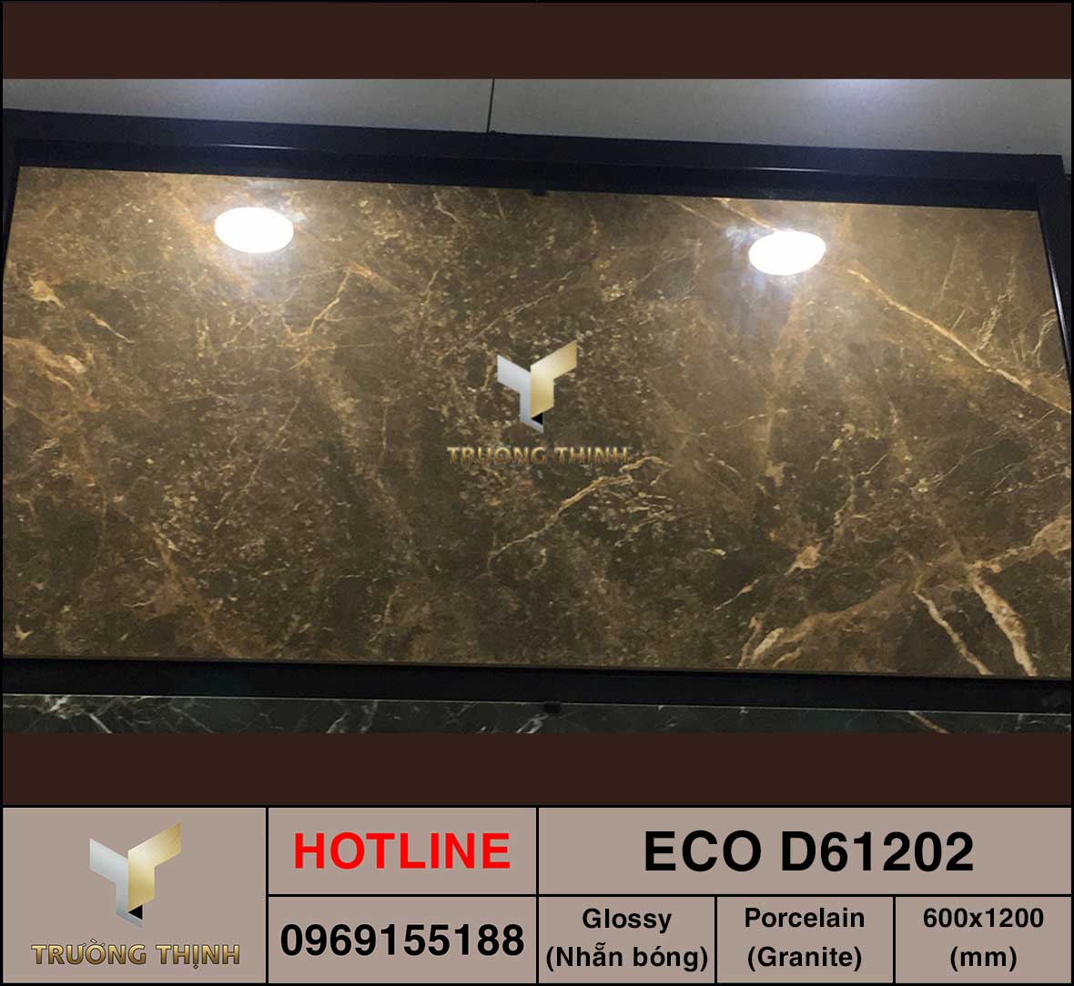 Gạch ốp lát 600x1200 Viglacera ECO D61202 vân đá