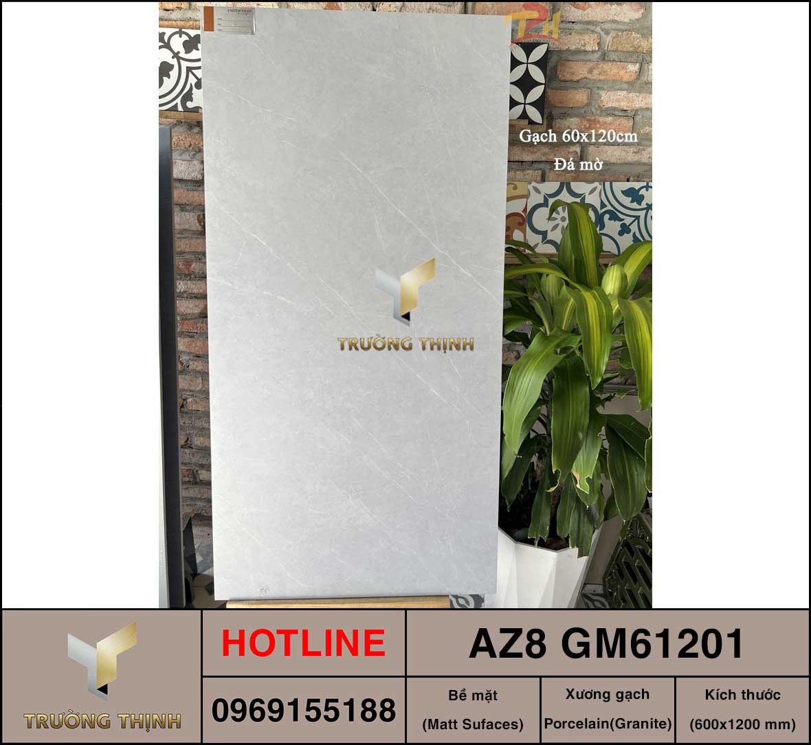 AZ8-GM61201