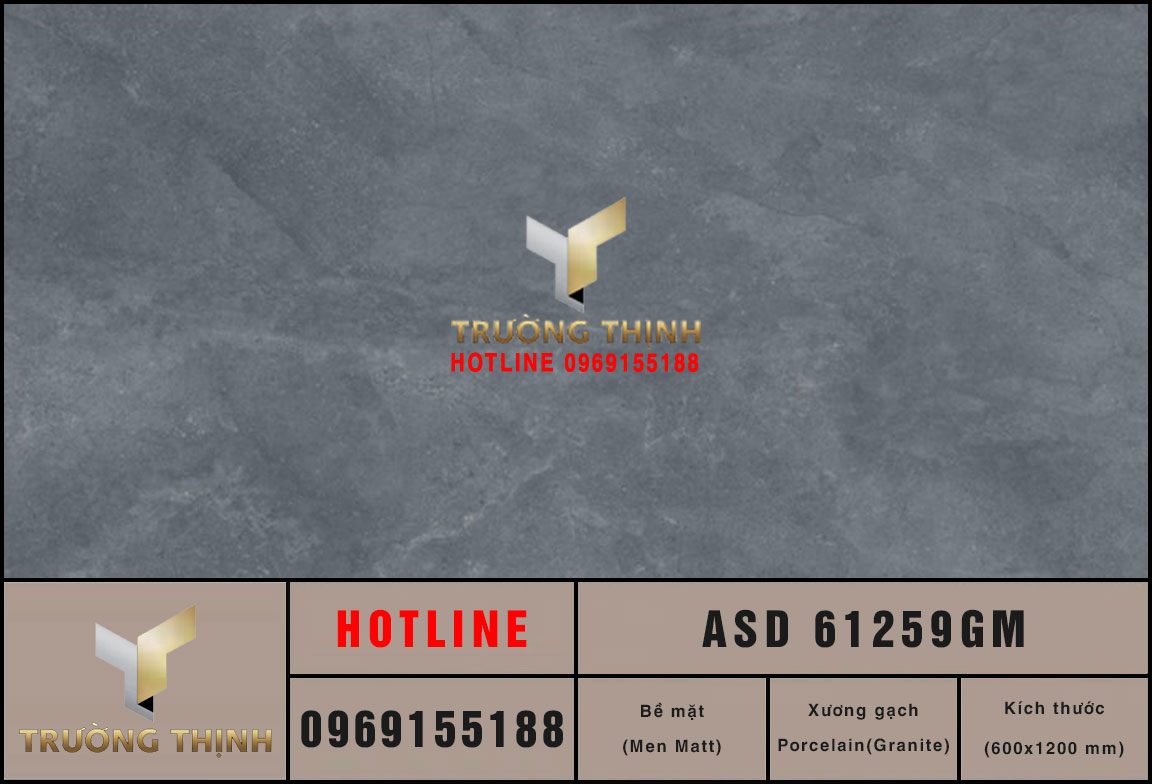 Gạch ốp lát Granite men Matt 600x1200 Viglacera ASD 61259GM | Giá tốt tại Trường Thịnh