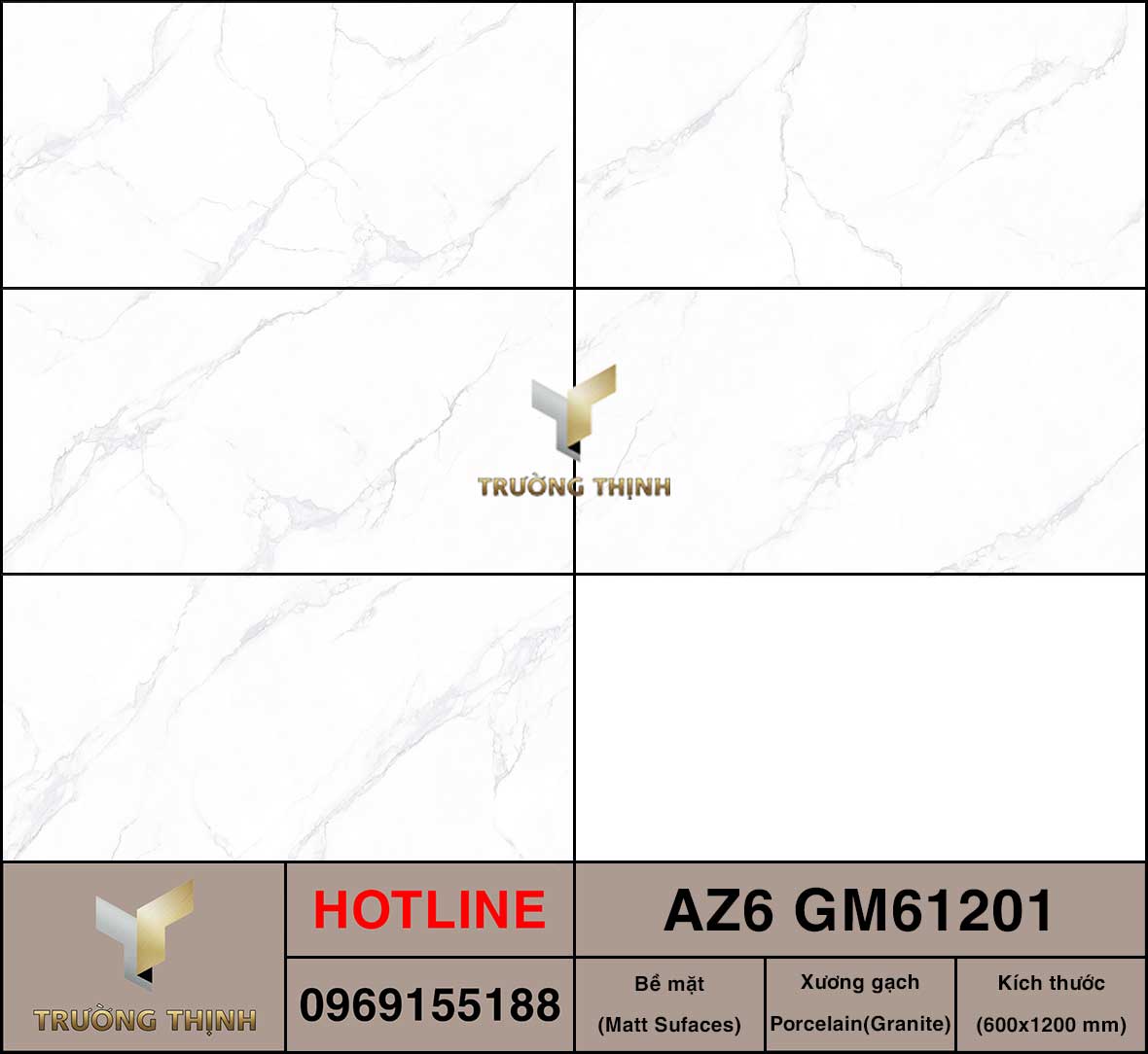 AZ6-GM61201