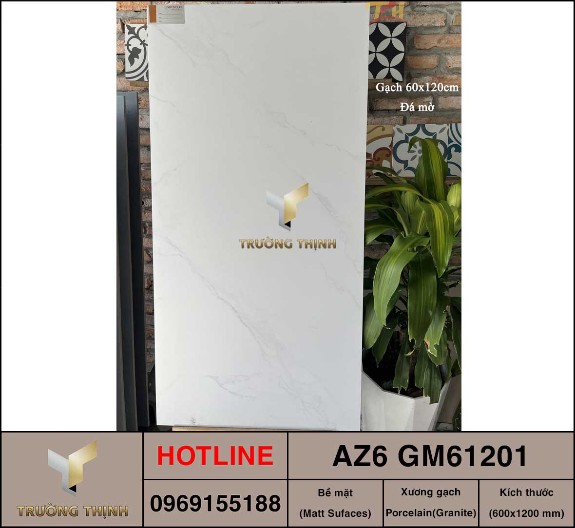 AZ6-GM61201