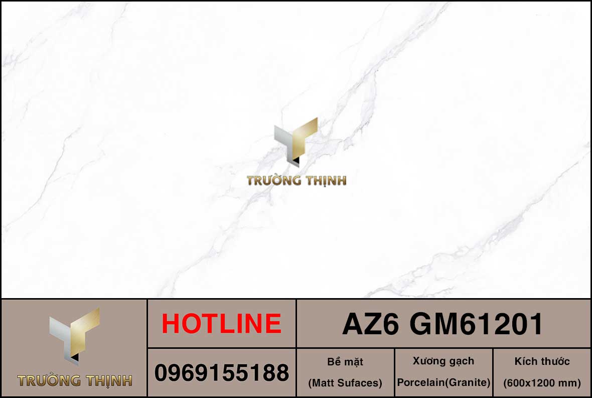 Gạch ốp lát 600x1200 Viglacera AZ6-GM61201