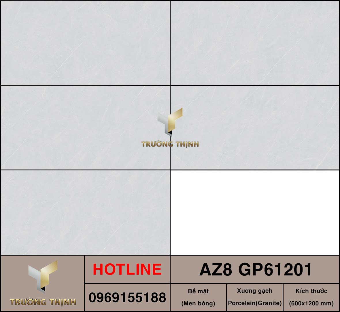 Gạch ốp lát 600x1200 Viglacera AZ8-GP61201