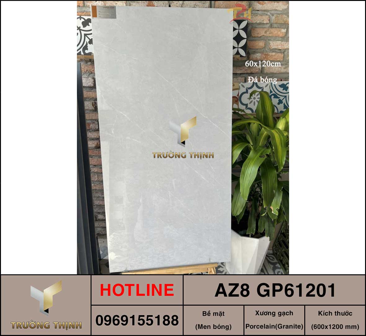AZ8-GP61201