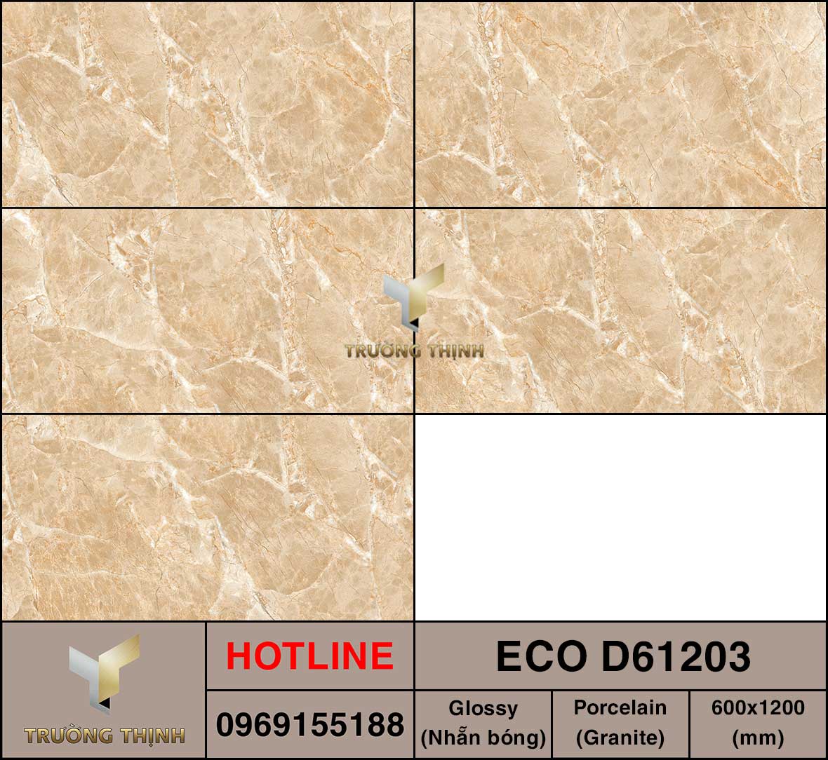 Gạch ốp lát 600x1200 Viglacera ECO D61203